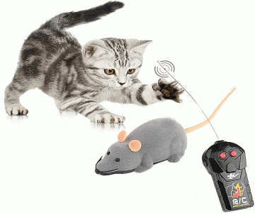 Ratinho controle remoto