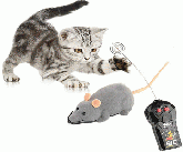 Ratinho controle remoto